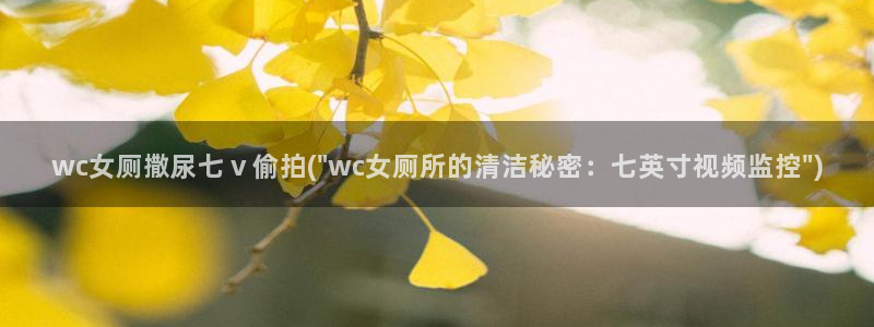 freexxx中国偷拍：wc女厕撒尿七ⅴ偷拍(\