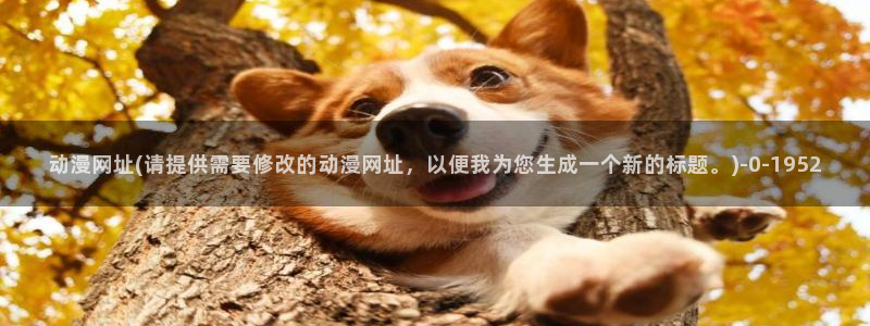 第一动漫