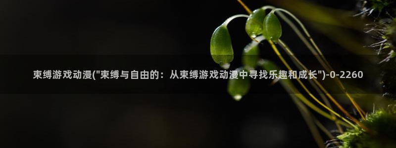 免费看动漫