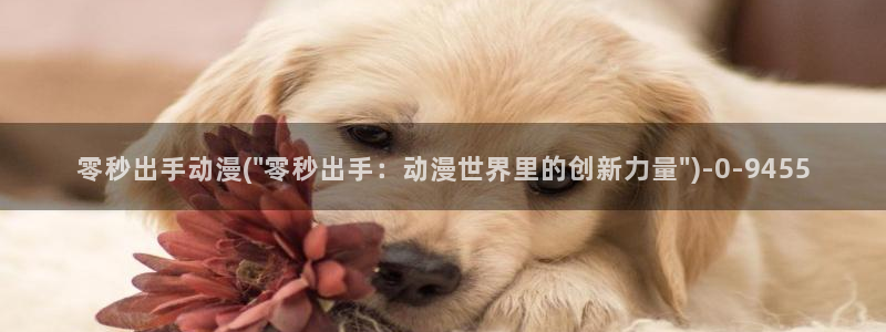 一念永恒动漫