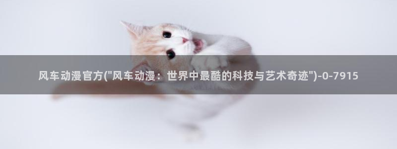 动漫培训基地